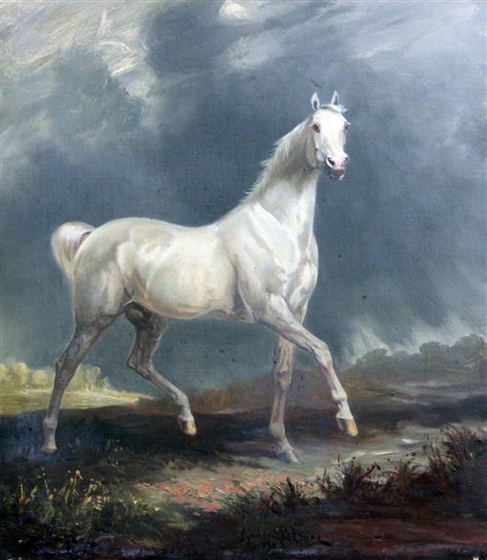 James Lynwood Palmer (1868-1941) Study of a white horse in a landscape, 19 x 17.5in.